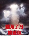 翻不了身的咸鱼