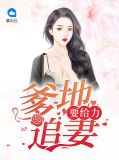 爹地追妻有奇招 小说
