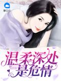 温柔深处是危情免费阅读最新1