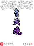青天境 无泪神女 笔趣阁