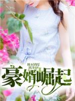 豪婿最近章节