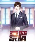 豪婿