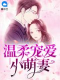 温柔小妻甜蜜吻免费