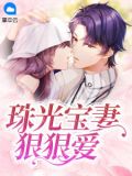类似珠光宝妻的小说