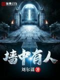 墙中有人