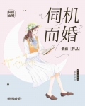 伺机而婚小说阅读