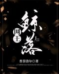 网王鲸落