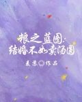 粮之蓝图:结婚不如卖汤圆视频