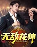 无敌龙帅俏佳人小说阅读