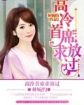 高冷首席求放过全文免费
