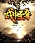 武神至尊叶风免费阅读