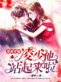 男主叫夜凌琛