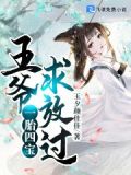 一胎四宝四爷独宠小甜妻